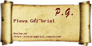 Pleva Gábriel névjegykártya